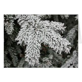 Winter Frost Cards