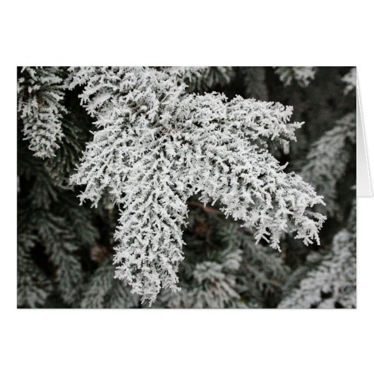 Winter Frost Cards (Front Horizontal)
