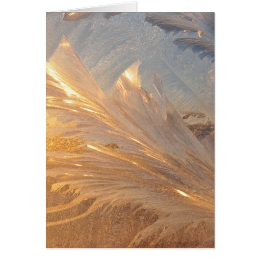 Winter Frost on Glass Cards (Front)