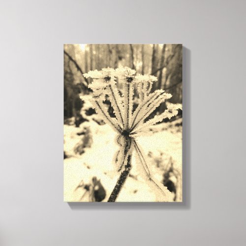 Winter frost on plants in the forest photography canvas print