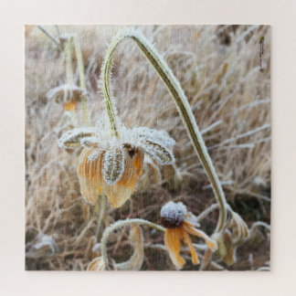 Winter Frost Wilted Rudbeckia Blooms Photograph Jigsaw Puzzle