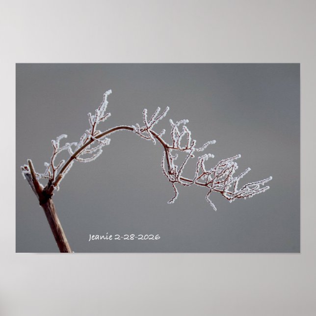 Winter Frosted branch Poster (Front)