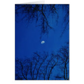 Winter Full Moon With Trees (Front)