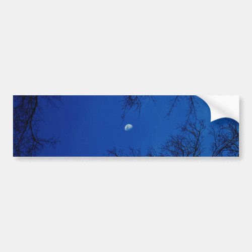 Winter Full Moon With Trees Bumper Sticker