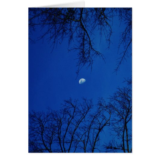 Winter Full Moon With Trees Cards (Front)