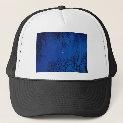 Winter Full Moon With Trees Trucker Hat