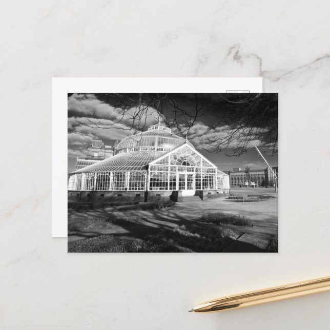 Winter Gardens, People's Palace, Glasgow, Postcard (Front/Back In Situ)