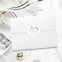 Winter Gender Reveal Baby Shower