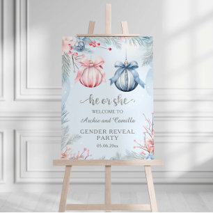 Winter Gender Reveal He Or She Party Foam Board