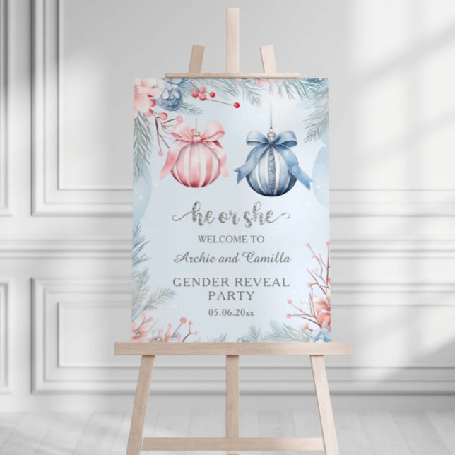 Winter Gender Reveal He Or She Party Foam Board (Creator Uploaded)