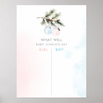 Winter Gender Reveal Voting Board Poster