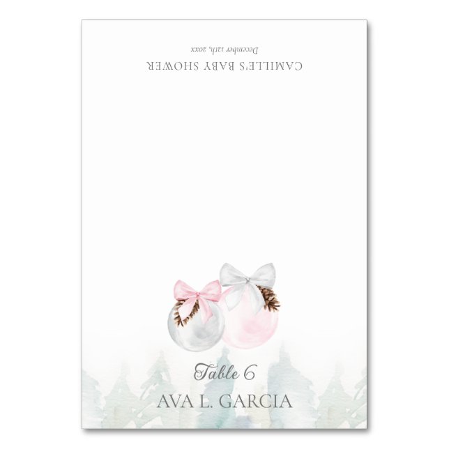 Winter Girl Baby Shower Place Card (Front)