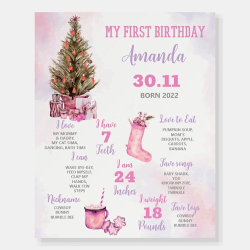 Winter Girl Onderland Birthday Milestone Sign