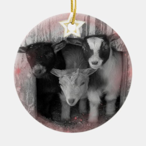 WINTER GOAT BABIES CHRISTMAS ORNAMENT