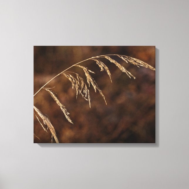 Winter Grass Canvas Print (Front)