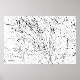 Winter Grass In Snow Poster