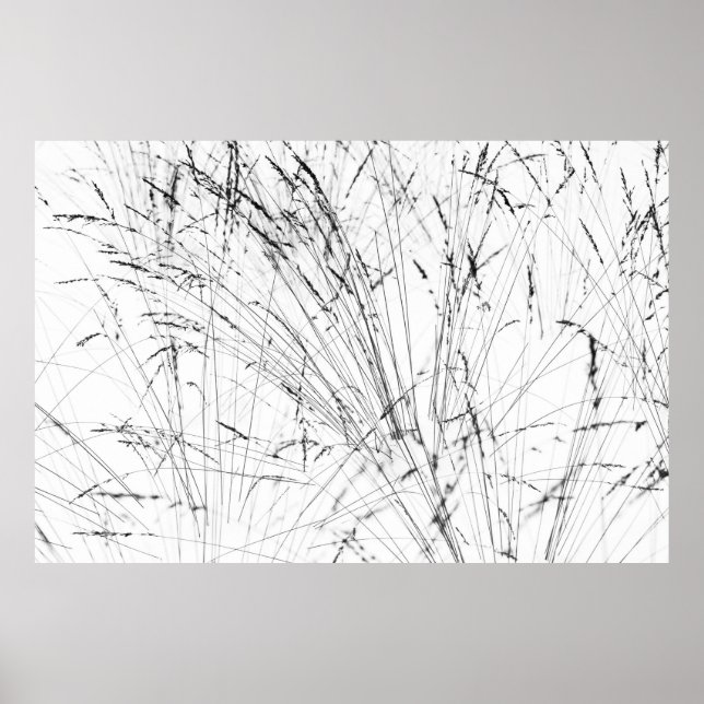 Winter Grass In Snow Poster (Front)