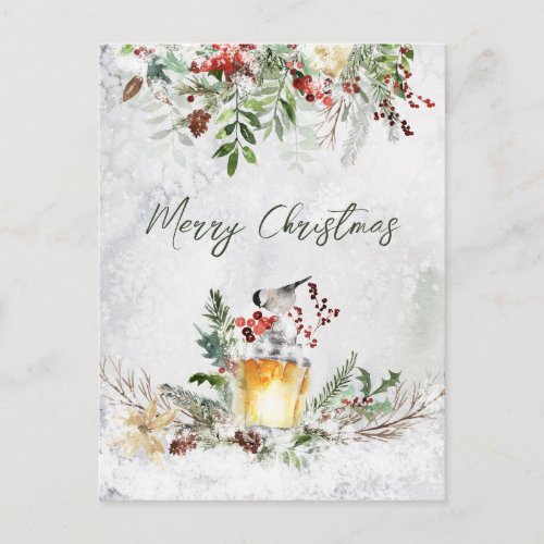 Winter Greenery Red Berry Bird Christmas Postcard