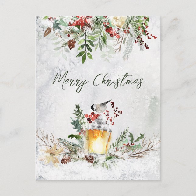 Winter Greenery Red Berry Bird Christmas Postcard (Front)
