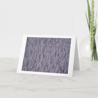 Winter Greetings Holiday Card