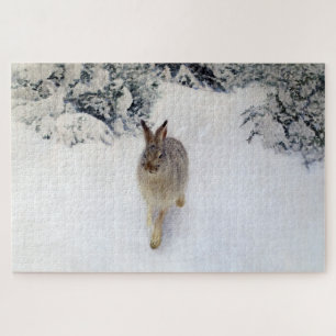 Winter Hare (Rabbit), Bruno Liljefors Jigsaw Puzzle