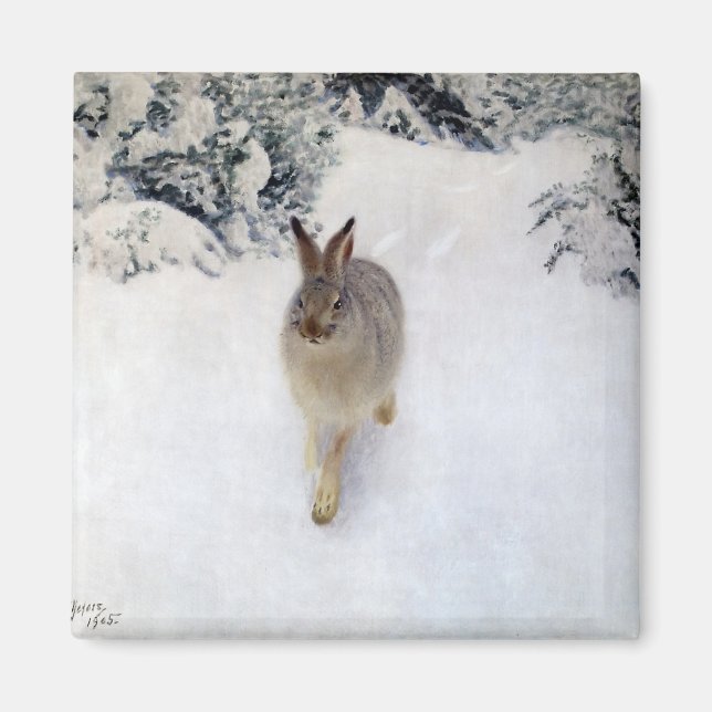 Winter Hare (Rabbit), Bruno Liljefors Magnet (Front)