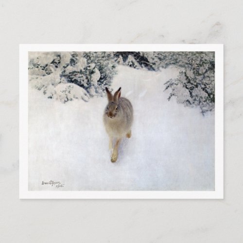 Winter Hare Rabbit Bruno Liljefors Postcard