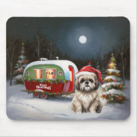 Winter Havanese Caravan Christmas Adventure