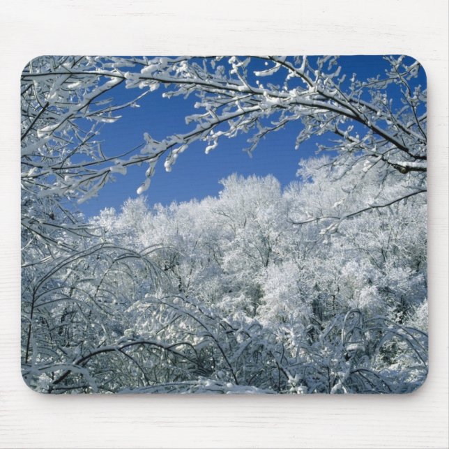 Winter haven mouse pad (Front)