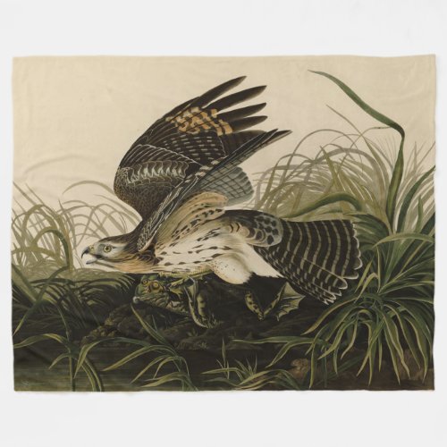 Winter Hawk John James Audubons Birds of America Fleece Blanket