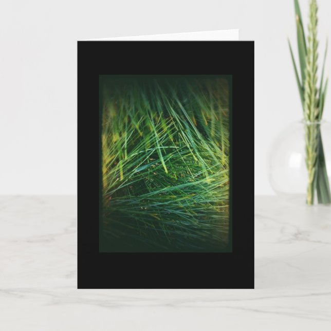 Winter Holiday 1 Card (Front)