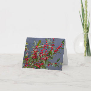 Winter Holiday Card - Red Berries