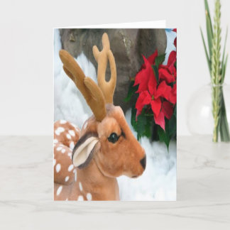 Winter Holiday Card:  "Snow, Deer"