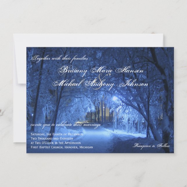 Winter Holiday Evening Snow Wedding Invitations (Front)