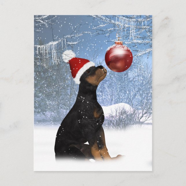 Winter Holiday Post Card With Rottweiler Puppy (Front)