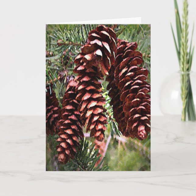 Winter Holidays Pinecones Christmas Evergreen Holiday Card (Front)