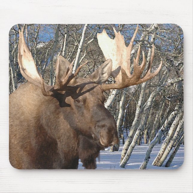 Winter Home Mousepad (Front)