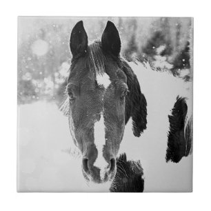 Winter Horse B&W Ceramic Tile
