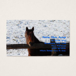 Winter Horse Bay Horse Overlooks Fence Snowy 