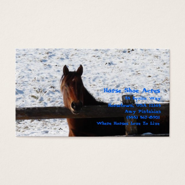 Winter Horse Bay Horse Overlooks Fence Snowy  (Front)