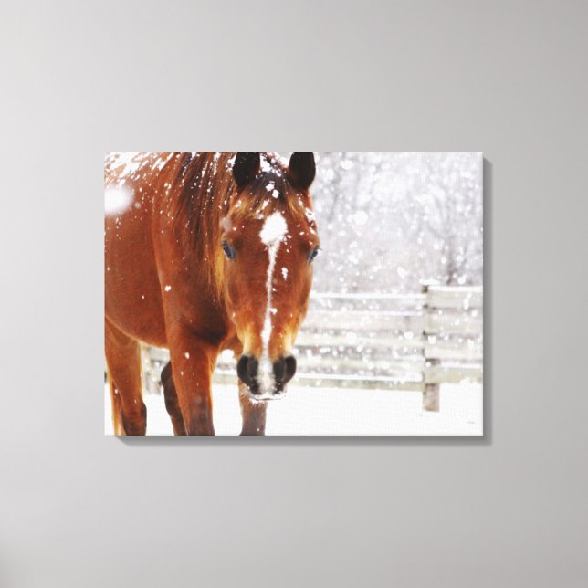 Winter Horse Christmas Canvas Print (Front)