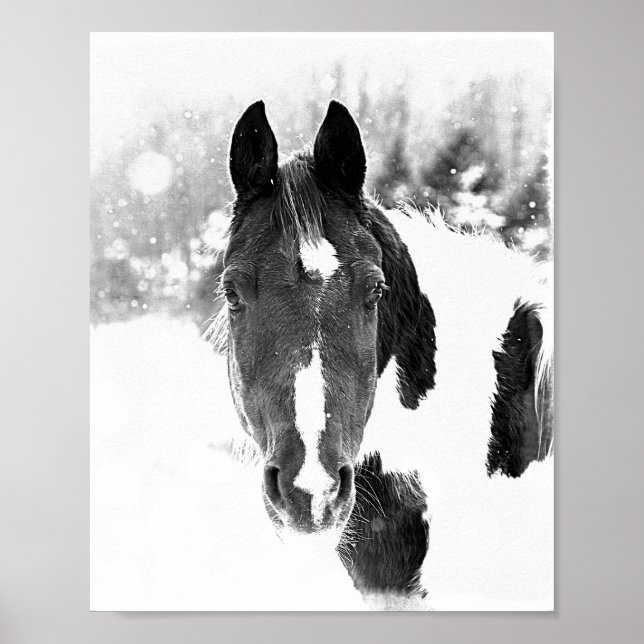 Winter Horse Equine Animals B&W Poster (Front)