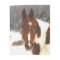 Winter Horse