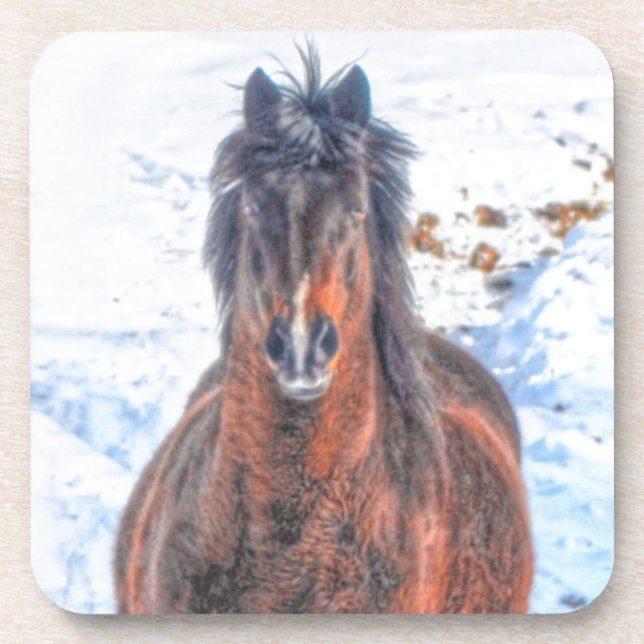 Winter Horse in Snowy Field Beverage Coaster (Front)