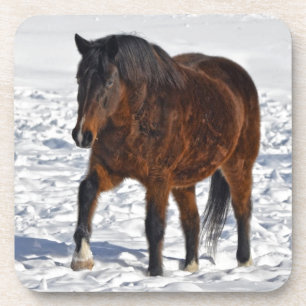 Winter Horse in Snowy Field Beverage Coaster