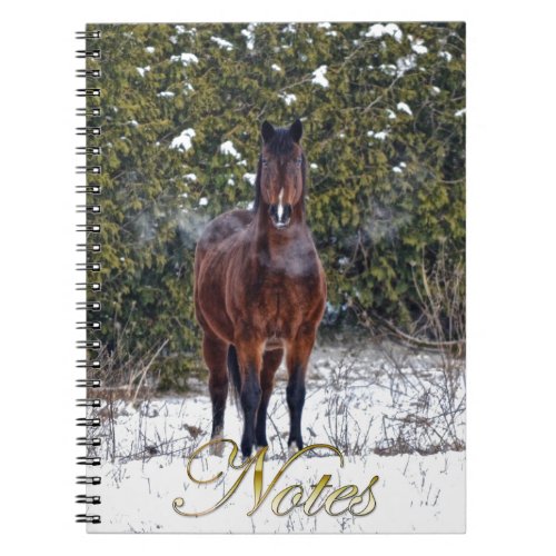 Winter Horse in Snowy Field Notebook