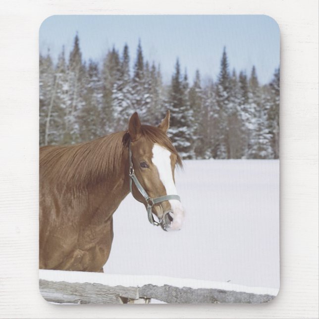 Winter Horse Mouse Pad (Front)