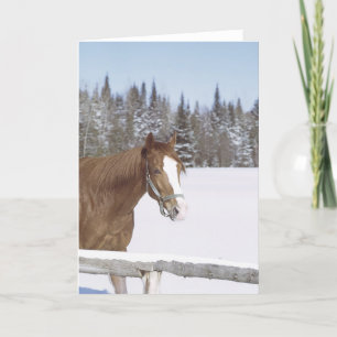 Winter Horse Snow Equine Xmas Holiday Christmas