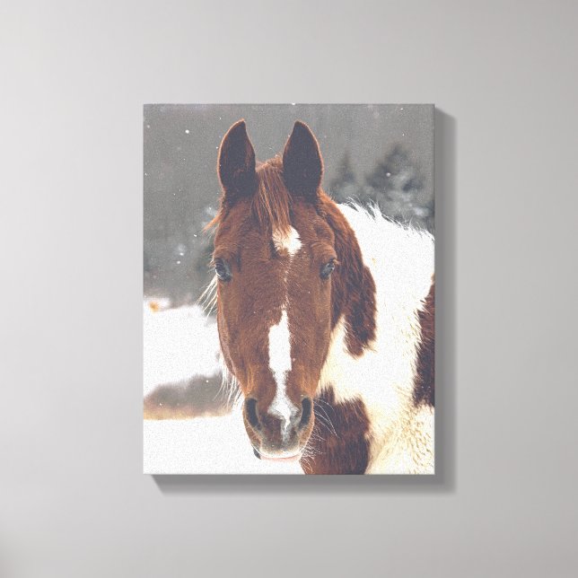 Winter Horse Wrapped Canvas Print (Front)