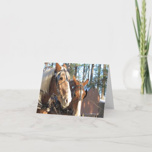 Winter Horses at Sturbridge Note Card Blank Inside